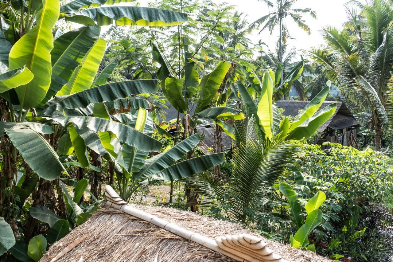 Bali Bamboo Jungle Huts And Hostel Tampaksiring Ngoại thất bức ảnh