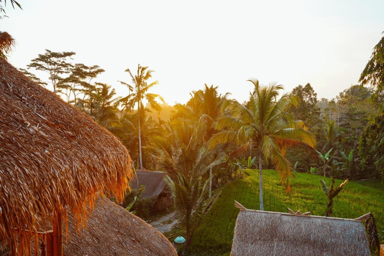 Bali Bamboo Jungle Huts And Hostel Tampaksiring Ngoại thất bức ảnh